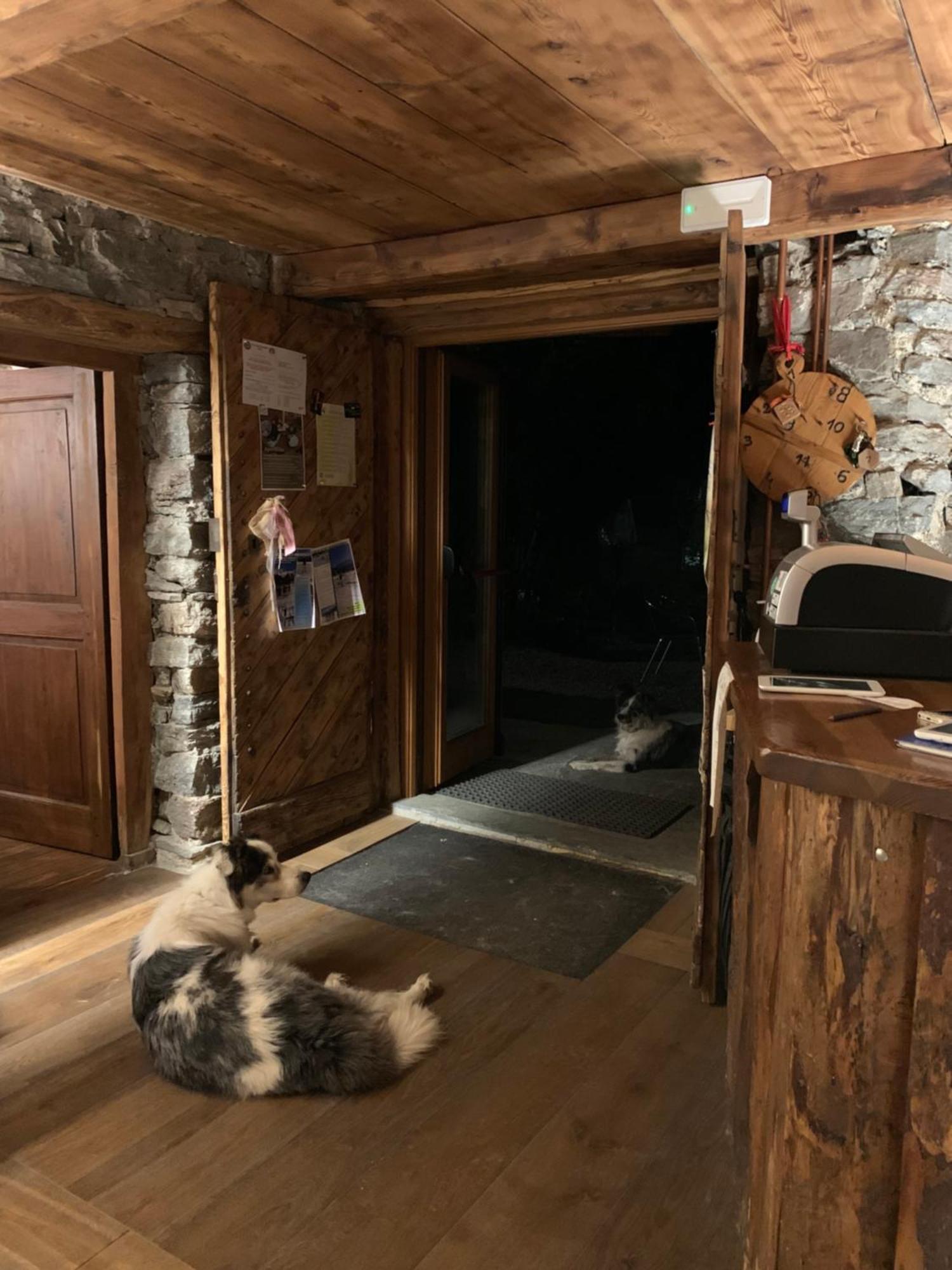 Chalet Del Lago Ceresole Reale Buitenkant foto
